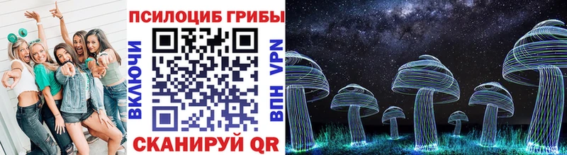 blacksprut ссылка Нижний Тагил Галлюциногенные грибы Psilocybine cubensis