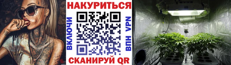Каннабис MAZAR  где можно купить   Нижний Тагил 